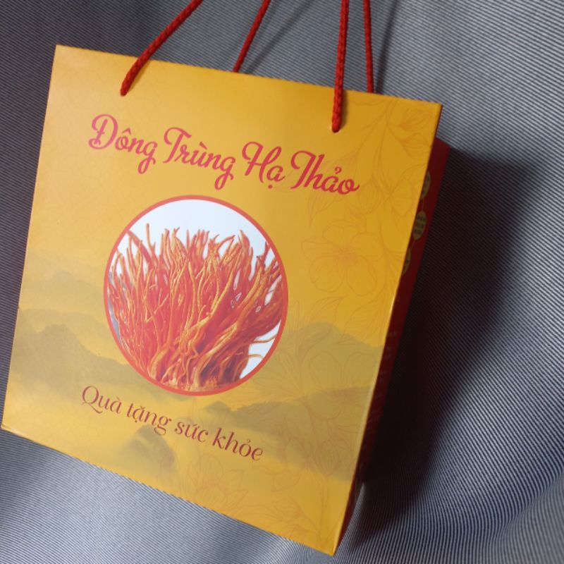 10 túi đựng đông trùng hạ thảo