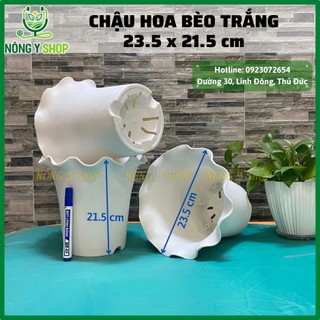 Chậu hoa bèo, chậu nhựa trồng hoa, chậu trồng cây kiểng, chậu cắm hoa len, chậu để bàn, chậu nhựa