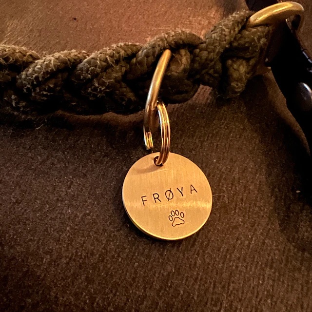 Thẻ Tên Chó Mèo, Tag Tên Thú Cưng, Đồng Nguyên Chất, Khắc Tên Theo Yêu Cầu