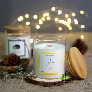 Nến thơm candle cup / agaya cup