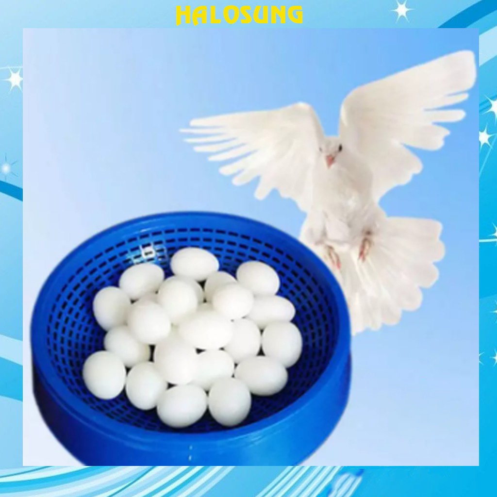 Trứng chim bồ câu giả Halosung Trứng chim phụ kiện lồng chim PK108