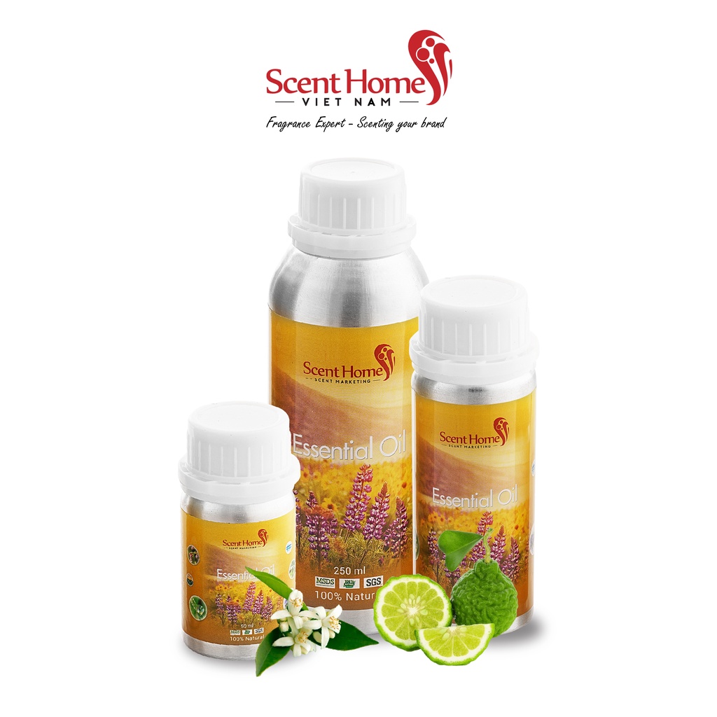 [Chính hãng] Tinh dầu Orange Blossom - Scent Homes (Orange Blossom - 50ml,100ml,250ml)