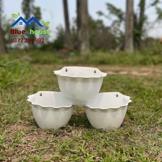 1 chậu nhựa ốp tường bèo, bán nguyệt