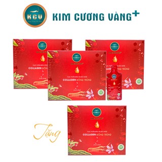 Combo 3 hộp đông trùng nhụy hoa nghệ tây collagen - tặng 1 hộp