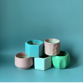 Chậu trồng cây cảnh - chậu cậy mini - Sen Đá - Xương Rồng