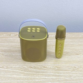 Loa Karaoke Bluetooth YS-101 Kèm 1 Micro Không Dây