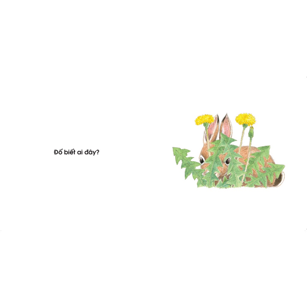 Sách Ehon cho bé 0 2 tuổi - Đố Biết Ai Đây (Tranh truyện ehon Nhật Bản cho bé) | BigBuy360 - bigbuy360.vn