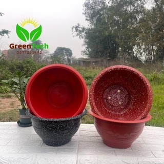1 Chậu Nhựa Trồng Cây T48, Chậu Giả Đá, Chậu Không Lỗ