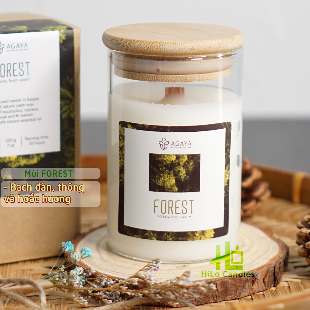 Nến Thơm Candle Cup / AGAYA Cup