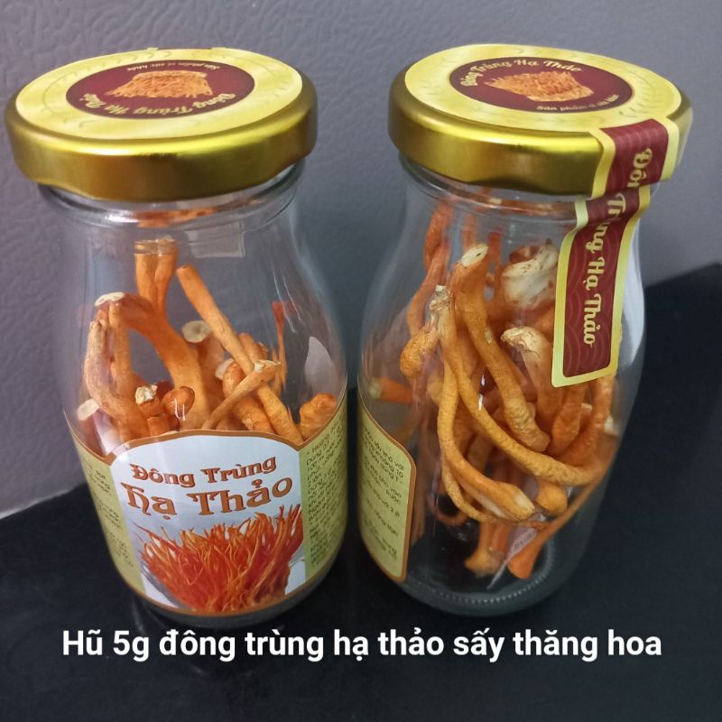 Đông trùng hạ thảo sấy thăng hoa