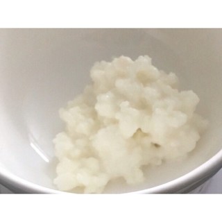 Nấm tuyết tây tạng/ nấm kefir