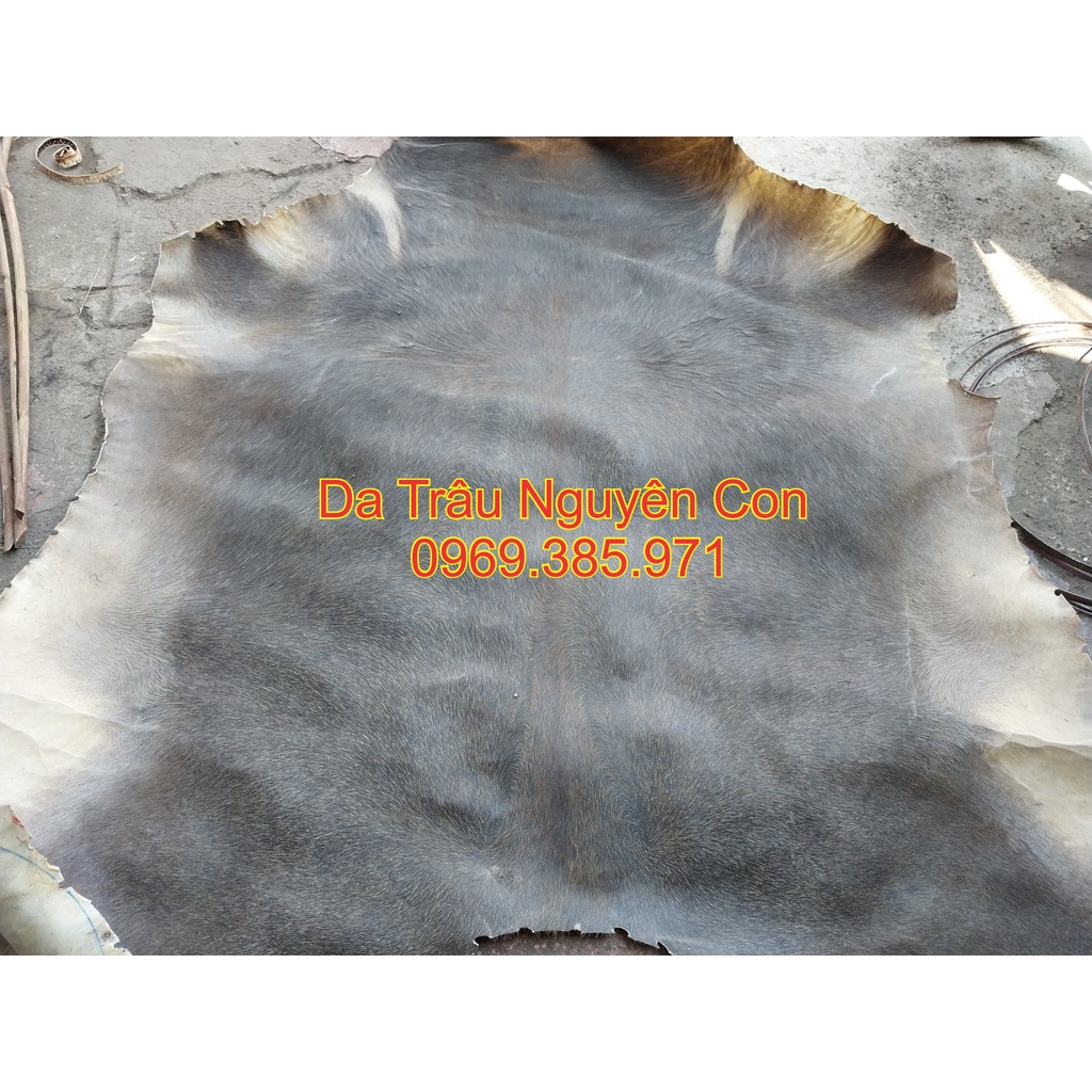 Da trâu khô Da trâu thật
