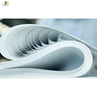 Giấy A1 (20 tờ) - Giấy tờ A1 (65 x 86cm)