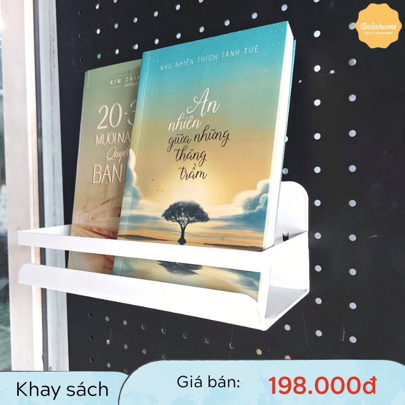 Khay đựng sách, đồ dùng văn phòng, đồ dùng gia đình Dola Home kim loại sơn tĩnh điện cao cấp - Phụ kiện bảng Pegboard