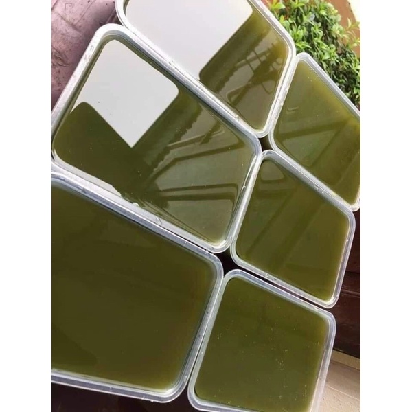 Bột Thạch Găng - hộp 500g