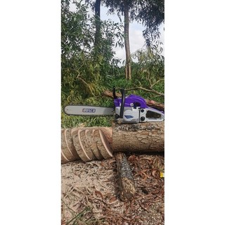 Máy cưa xích Bosco Model CS6900 (Chưa kèm lam xích)
