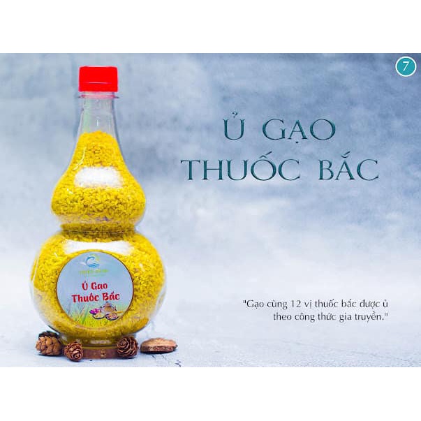 Ủ gạo thuốc bắc - Thiên Minh