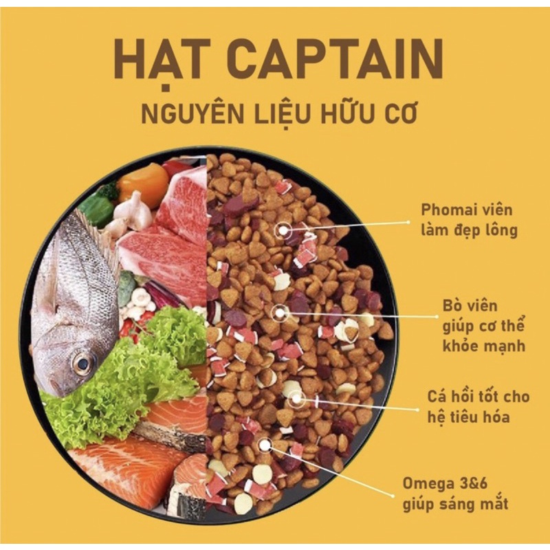 5kg Hạt captain cho chó mix thịt bò, cá hồi và phomai