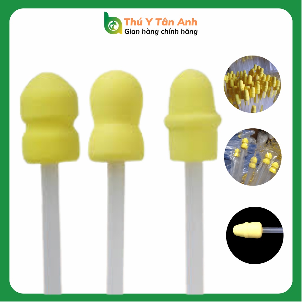 Que phối tinh heo đầu xốp phối nông giá sỉ rẻ nhất thị trường - Nâng tầm sinh sản