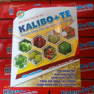 KALI BO, phân bón lá chặn đọt, hãm đọt – ngăn ngừa rụng trái, sượng trái trên cây Sầu riêng.