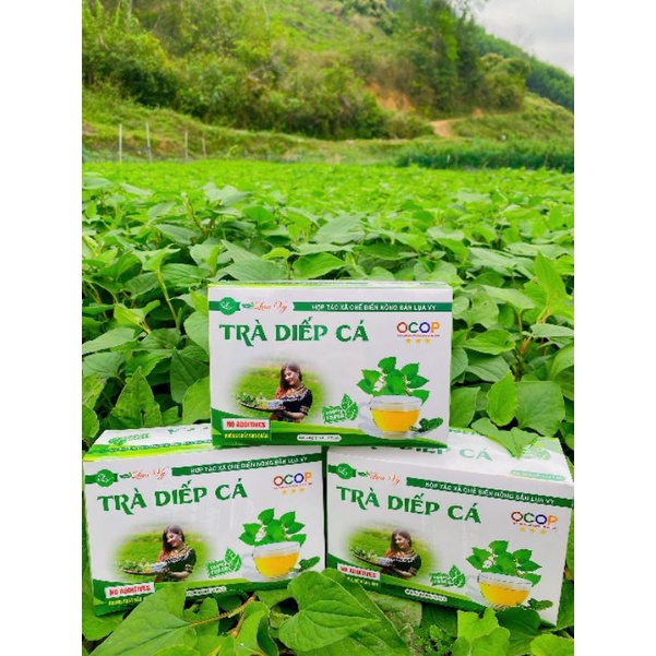 TRÀ DIẾP CÁ(1 hộp:18 gói lọc).Trà giúp THANH NHIỆT,VỪA MÁT,VỪA TỐT CHO SỨC KHOẺ,,DETOX CƠ THỂ, mát gan,giảm táo bón.