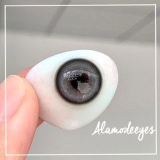 Lens xám bạc viền (tặng khay gương)