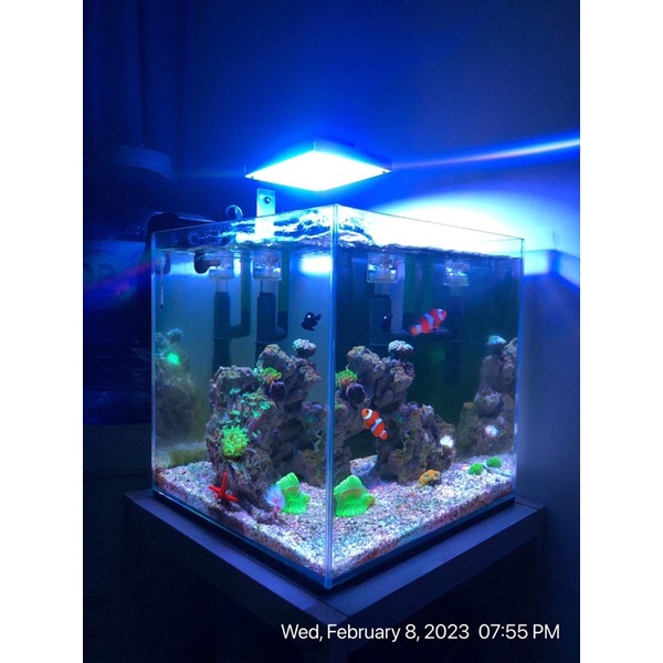 Đèn bể cá có wifi