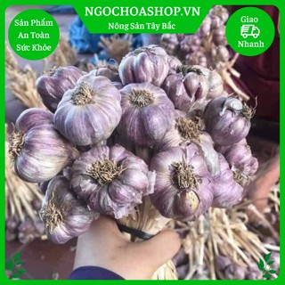 Tỏi ta khô kinh môn HẢI DƯƠNG