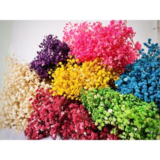 [HÌNH THẬT- HOA ĐẸP ]🍁 Bó hoa Baby khô ướp màu bó to 120gram 🍁 Hoa Khô Baby Gysophila trang trí decor, gói hoa quà tặng