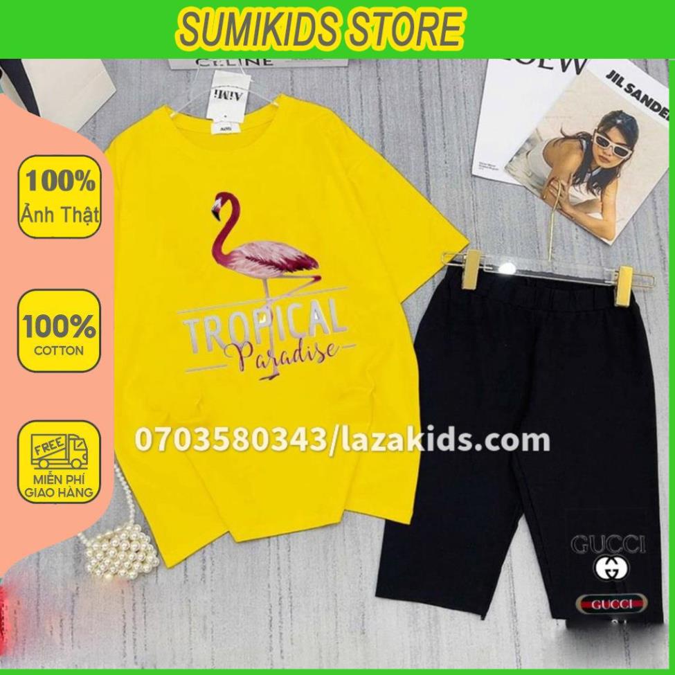 Đồ bộ ngố bé gái size đại Trẻ Em 3,4,5,6,7,8,9,10,11 Tuổi -QUẦN ÁO TRẺ EM SUMIKIDS BÉ GÁI NGỐ