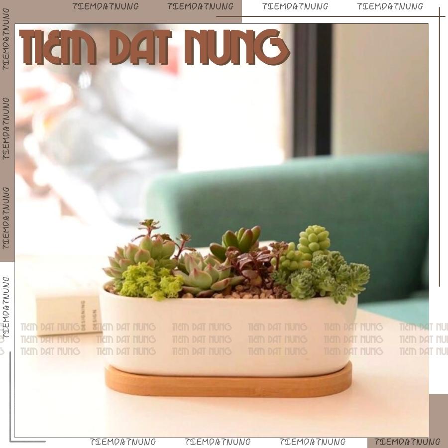 Chậu Đất Nung Dáng Thuyền - Chậu Trồng Sen Đá - Tiệm Đất Nung - tiemdatnung - Chậu Hoa Gốm Sứ - Chậu Đất Nung