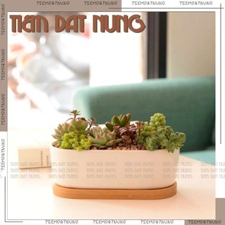  Chậu Đất Nung Dáng Thuyền - Chậu Trồng Sen Đá - Tiệm Đất Nung - tiemdatnung - Chậu Hoa Gốm Sứ - Chậu Đất Nung 