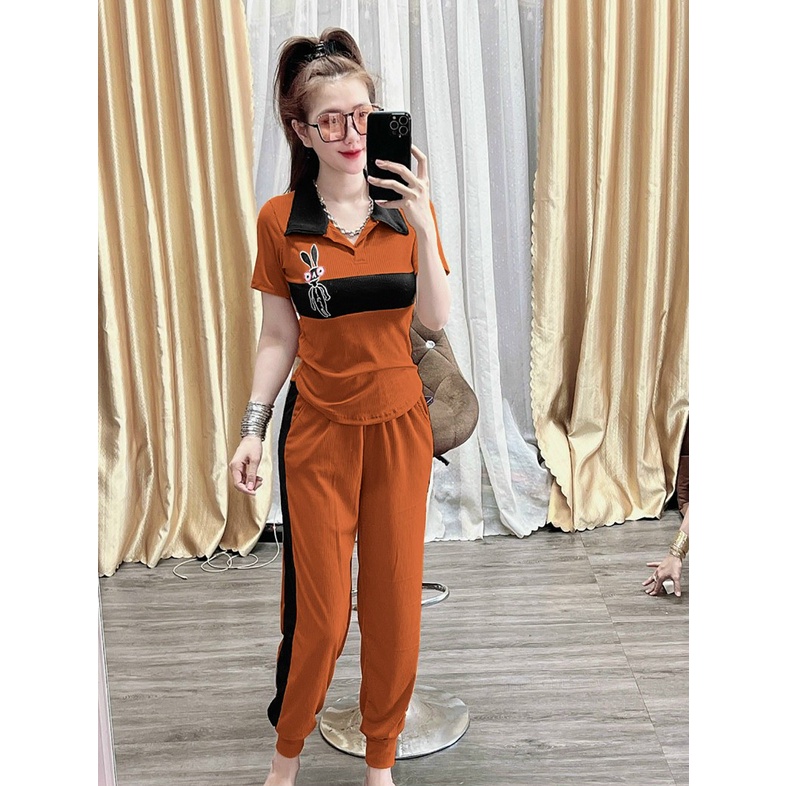 Set Đồ Thun Gân Cổ Bẻ Dáng Thể Thao Nữ - Phối Màu Đơn Giản - Logo Thêu - SP Y Hình