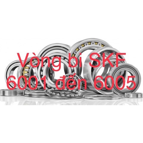 Vòng bi SKF 6001 đến 6005 - Hàng cao cấp đến từ Thuỵ Điển