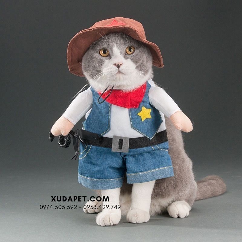 Áo Hóa Trang Cao Bồi Cho Chó Mèo Cute - SP006019cowboy