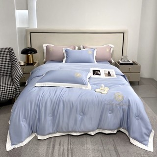 Set 4 món chăn ga gối phi lụa chăn trần new 2023- tokyo.bedding
