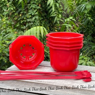 Chậu treo nhỏ 17x13 chậu treo truyền thống - chậu nhựa thái bình
