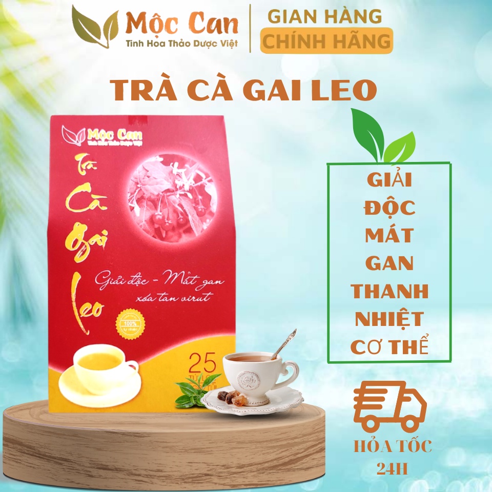 (Mua 10 tặng 1) Trà Cà Gai Leo, Trà cà gai leo túi lọc Mộc Can, giúp mát gan, giải nhiệt, thanh lọc cơ thể 25 túi lọc