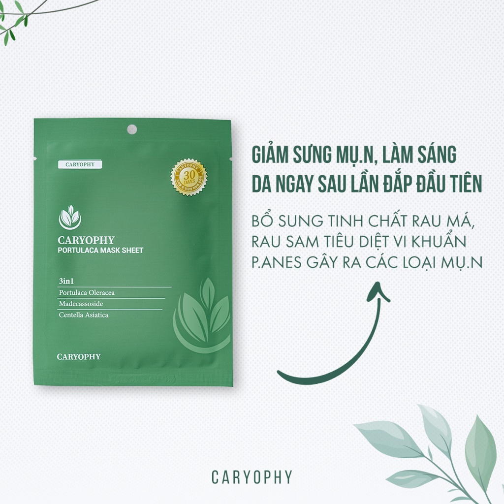 Mặt nạ giấy giảm mụn, mờ thâm Caryophy Portulaca Mask Sheet 22g