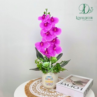 Chậu cây giả - Chậu lan hồ điệp