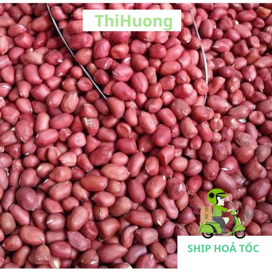 Lạc quê (đậu phộng) hạt đều, mẩy