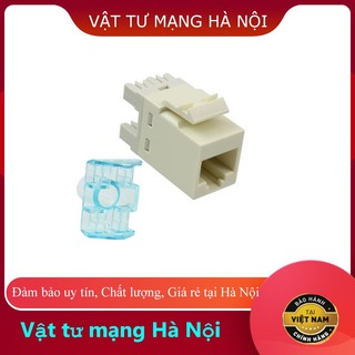 Nhân ổ căm điện thoại RJ11 Commscope