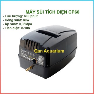 Máy Sủi Oxy Tích Điện Hailea CP 60 chuyên dùng hồ cá Koi