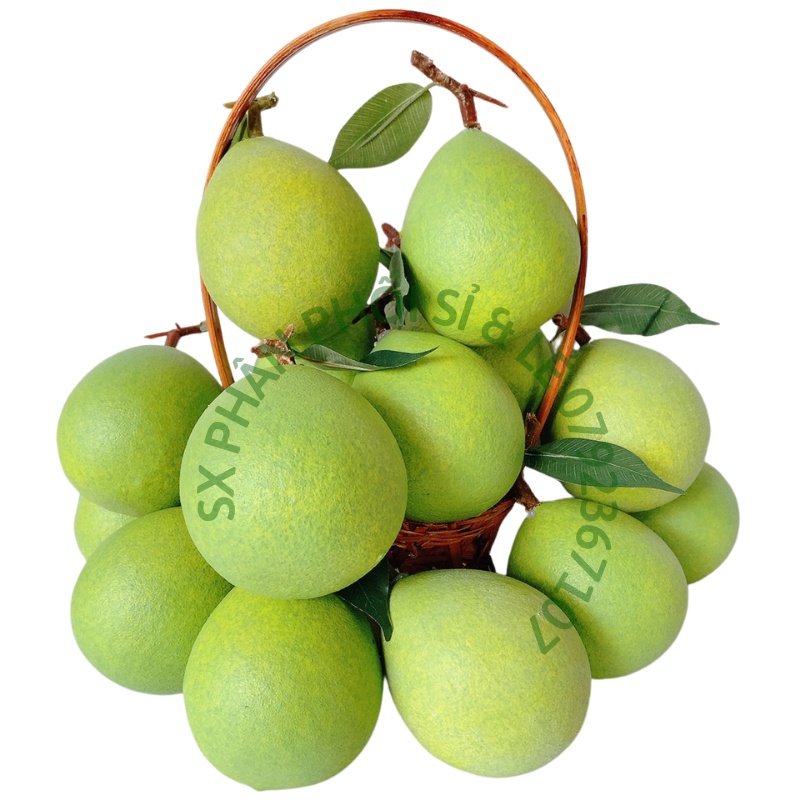 Trái Giả Trái Bưởi Nhỏ  mô hình Việt Nam công nghệ Thái Lan GIỐNG THẬT 99%-Trang trí nhà cửa, hàng quán