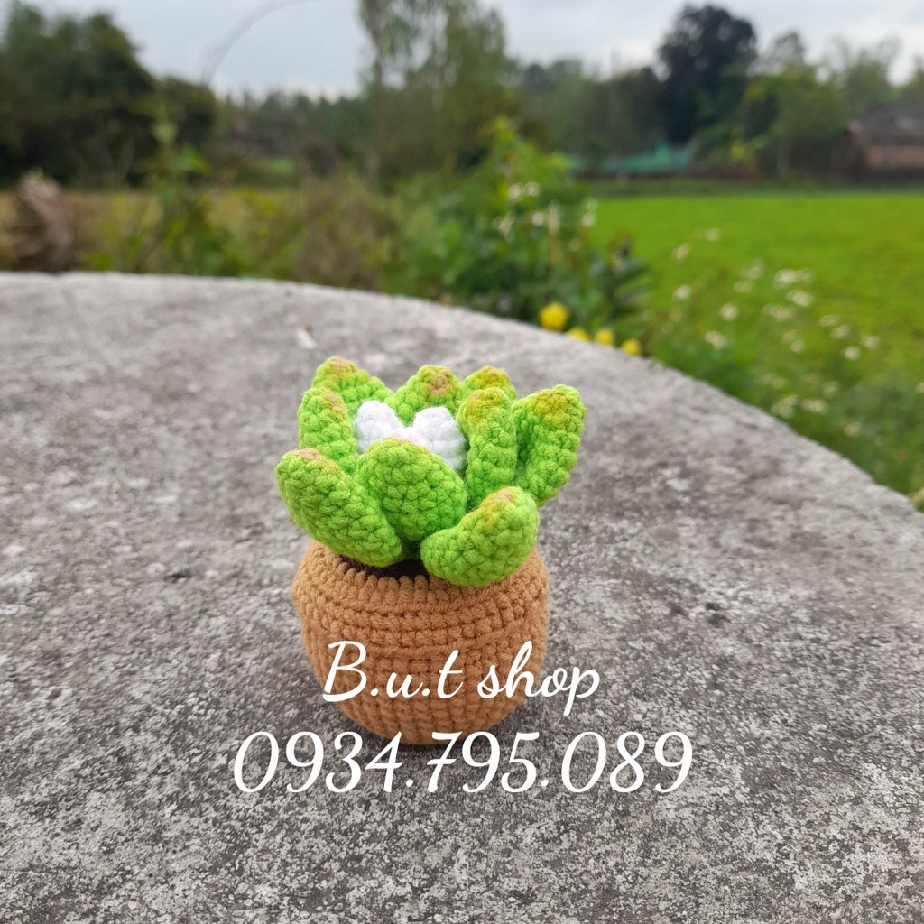 Chậu sen đá handmade mini - được làm từ len sợi