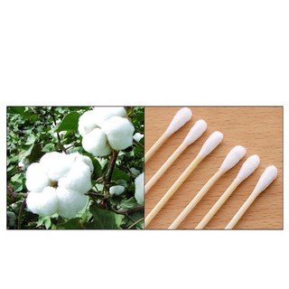 Tăm bông 2 đầu BB Basic thân tre thân thiện với môi trường