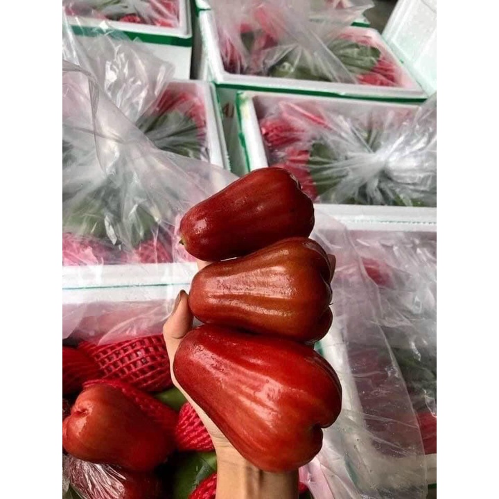 1 kg roi đỏ An Phước - Ship hoả tốc Hà Nội