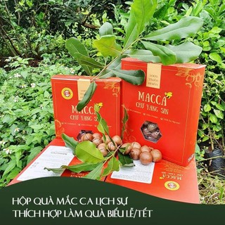 Hạt mắc ca Chư Yang Shin sấy lạnh