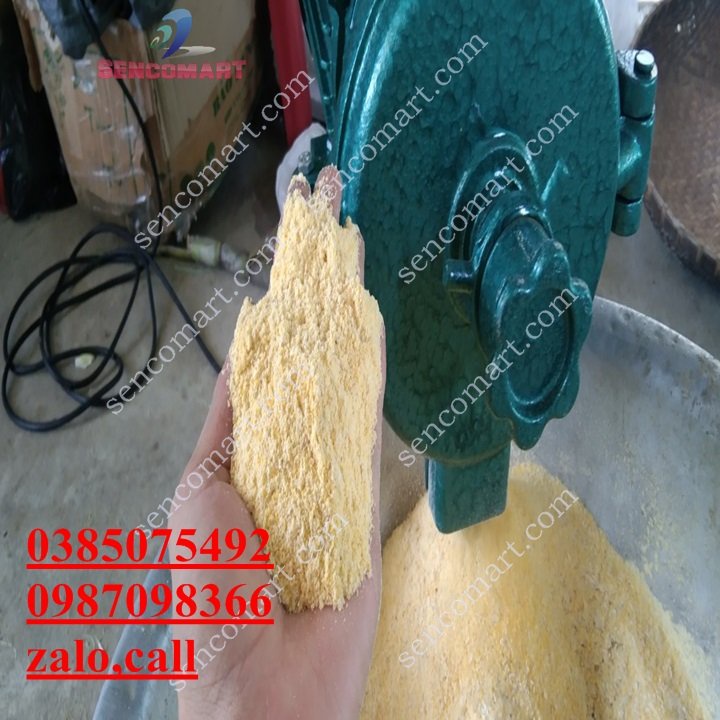 Máy xay vỡ mảnh hạt ngô làm thức ăn cho chim,gà,vịt