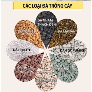 Giá thể đá trồng sen đá xương rồng: cầu vồng, pumice, perlite, nham thạch, vermiculite, Zeolite..... gói 1kg